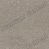 photo texture of wallpaper seamless 0003